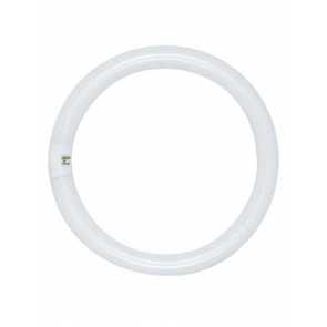 Circline T6 Fluorescent Bulbs