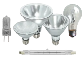 Halogen Light Bulbs