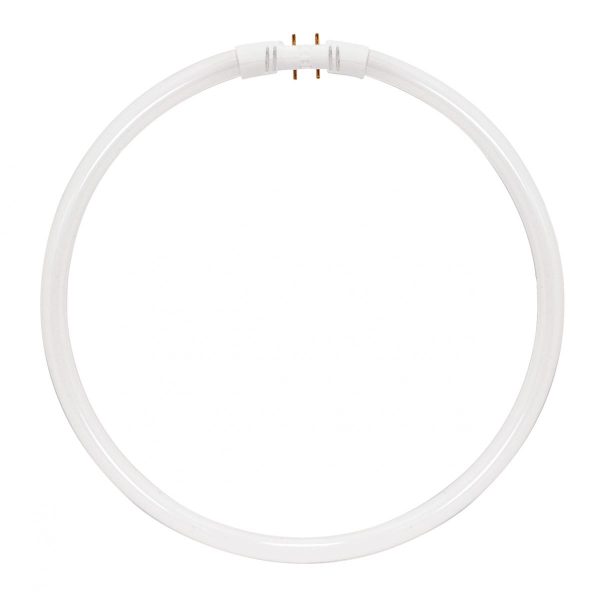 FC40T5/830 SYMBAN