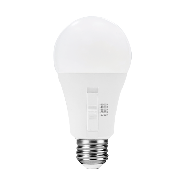 A19/E26/LED/SCCT ATLAS SELECTS