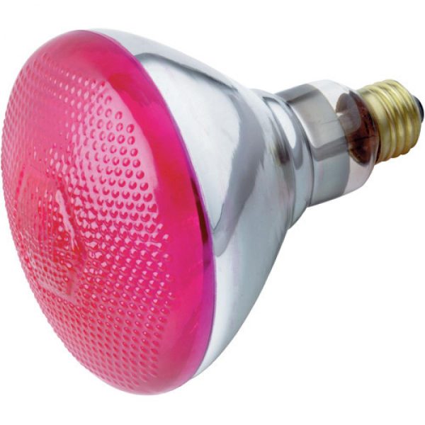 100W BR-38 PINK 120V SATCO