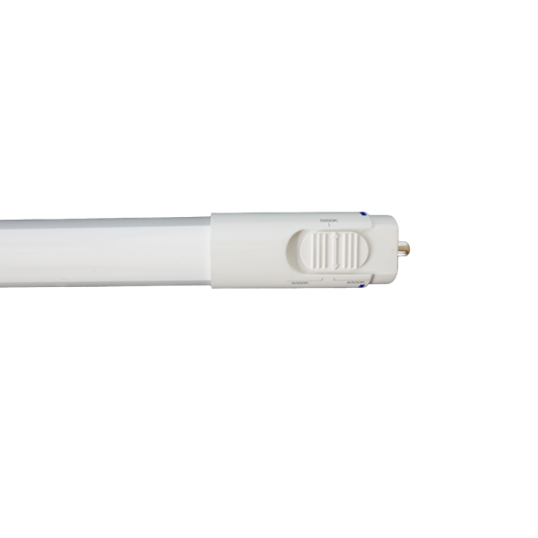 RENO-LEDT8BP-38W-MCCT-96G(8FT)