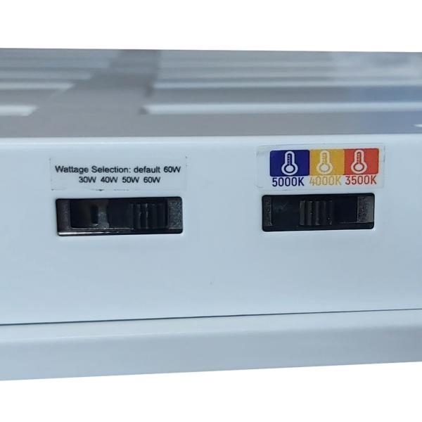 24BLPL-UNV/347-MWMCCT-HL RENO-HL