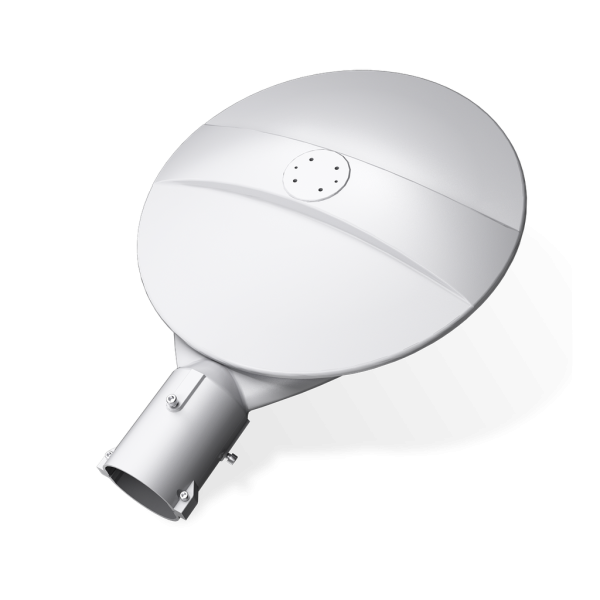 RENO-PT-DV-MV-MCCT-R1-WH