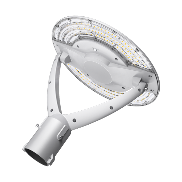 RENO-PT-DV-MV-MCCT-R2-WH