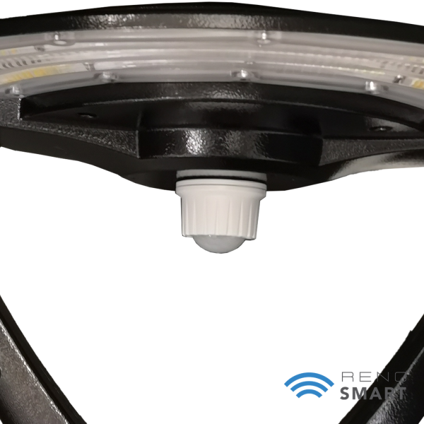 RENO-PT-DV-MV-MCCT-R2-WH