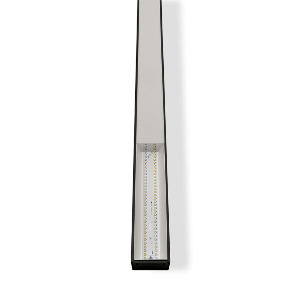 RENO-TLSN2-DV-MCCT-MW-BK-G2 (2FT)